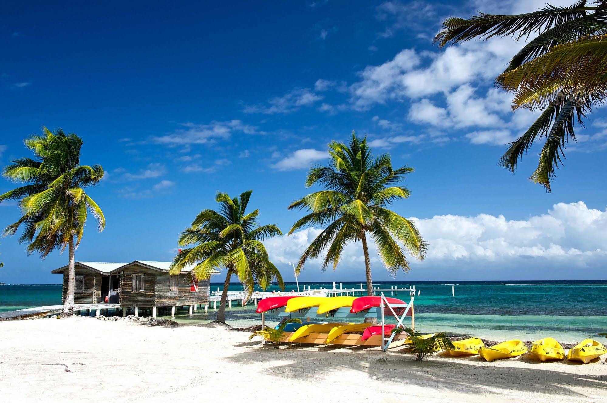 Blackbird Caye Resort Turneffe Atoll Εξωτερικό φωτογραφία