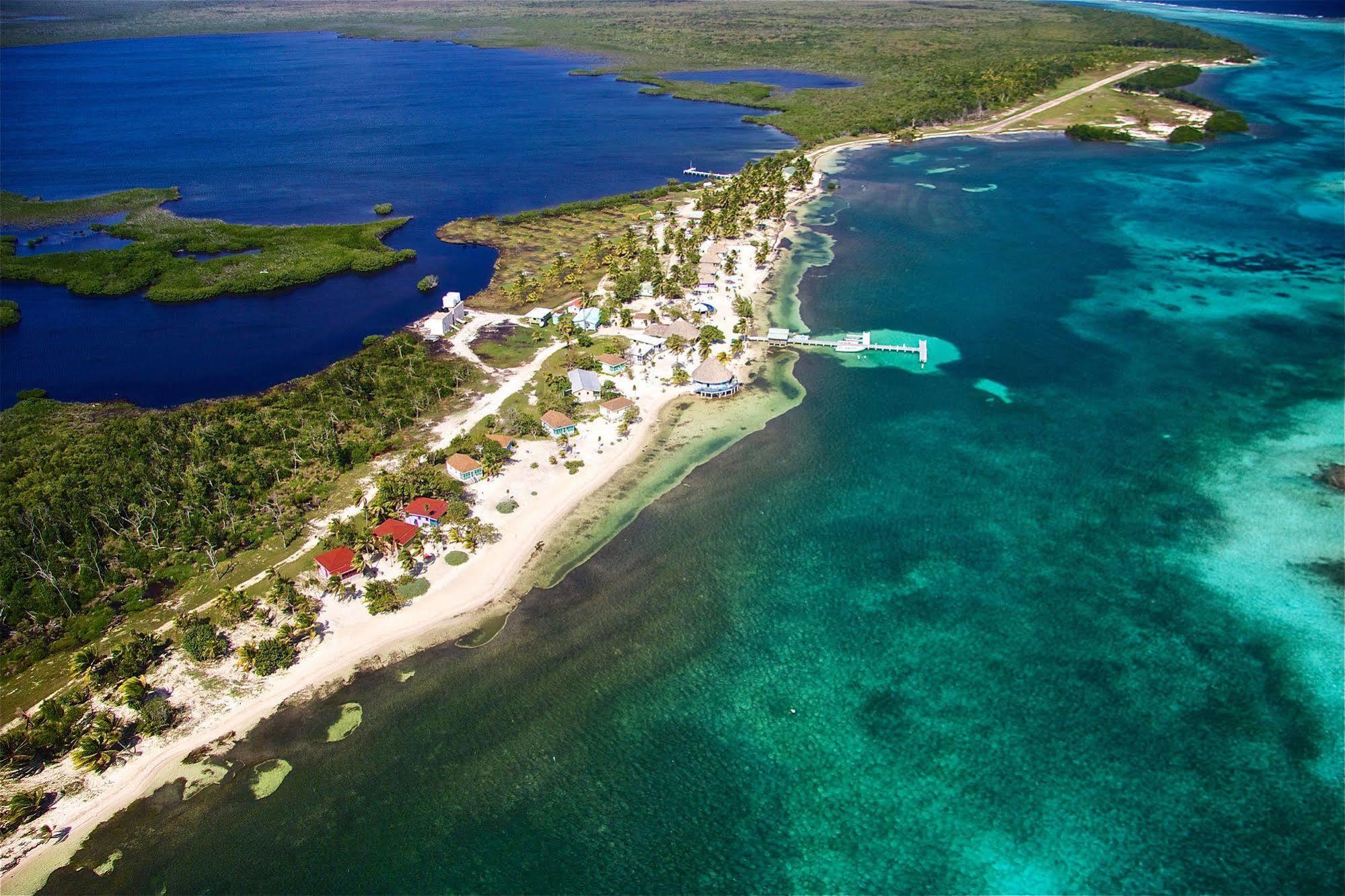 Blackbird Caye Resort Turneffe Atoll Εξωτερικό φωτογραφία