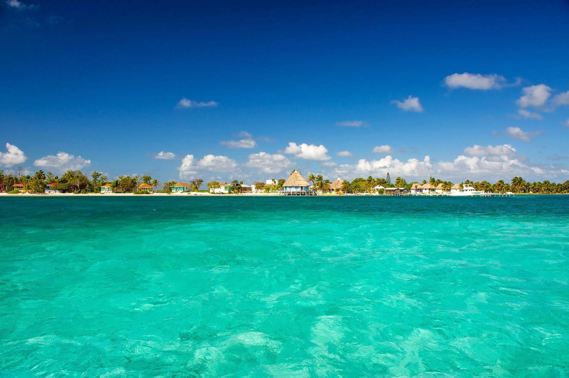 Blackbird Caye Resort Turneffe Atoll Εξωτερικό φωτογραφία