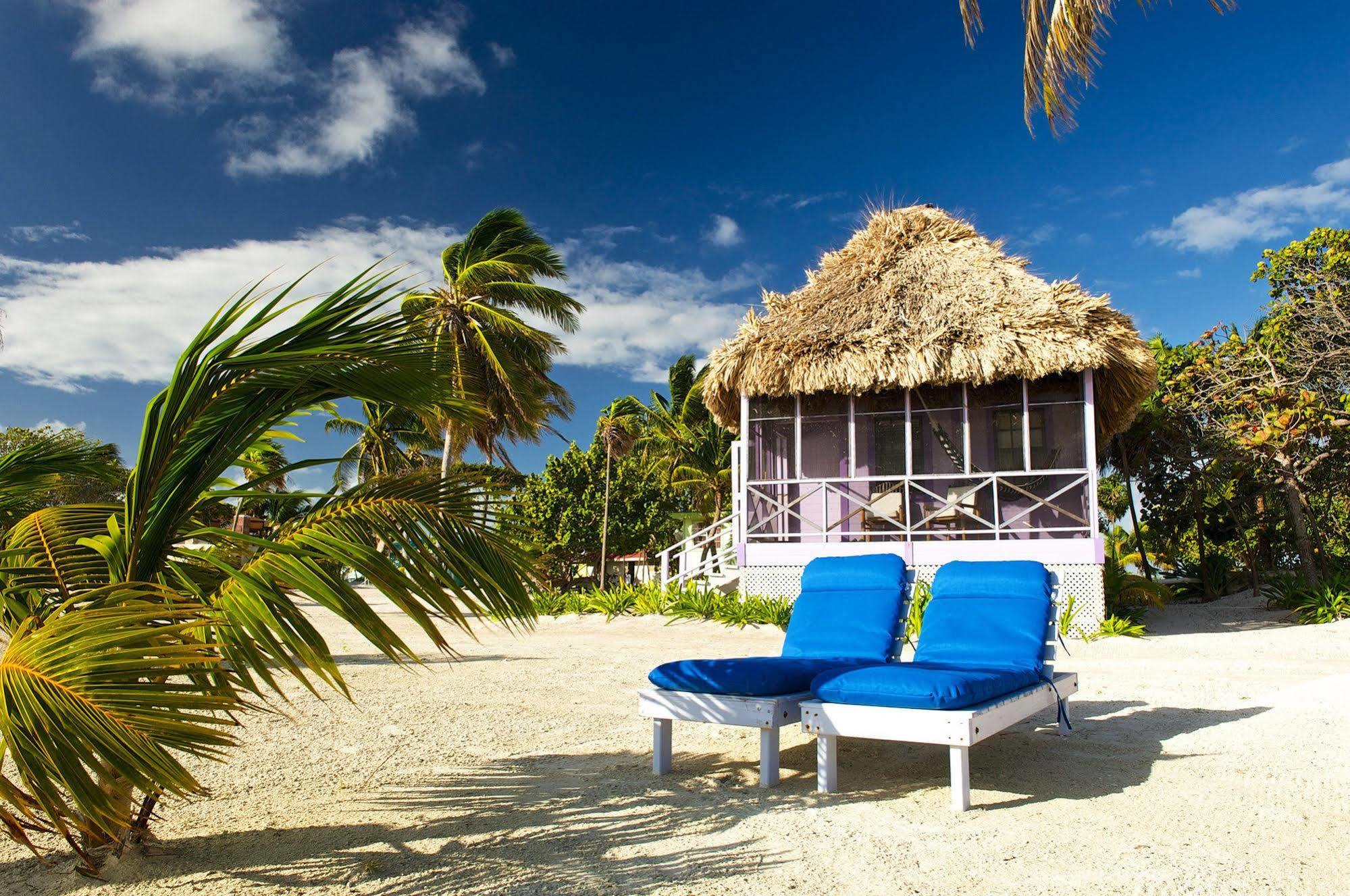 Blackbird Caye Resort Turneffe Atoll Εξωτερικό φωτογραφία